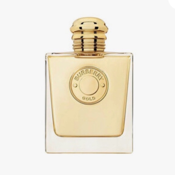 Burberry Other - Burberry GODDESS MINI